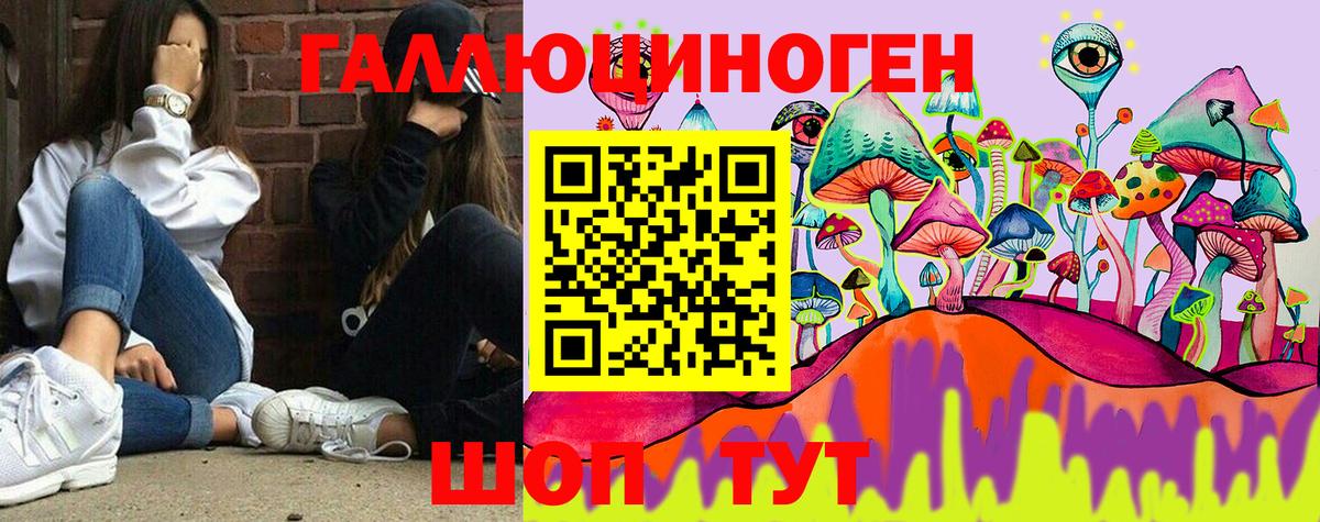 Псилоцибиновые грибы Cubensis Гуково